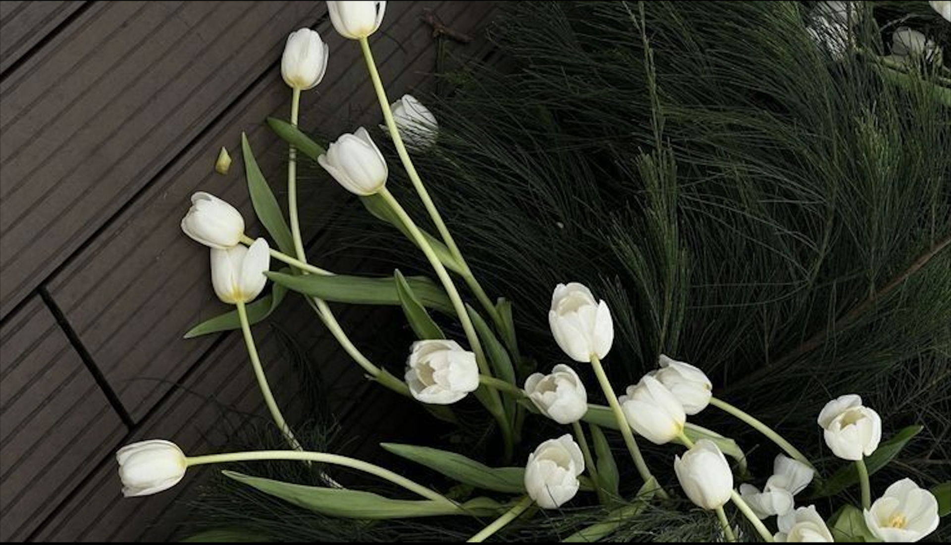 Nguyễn Phương Thảo